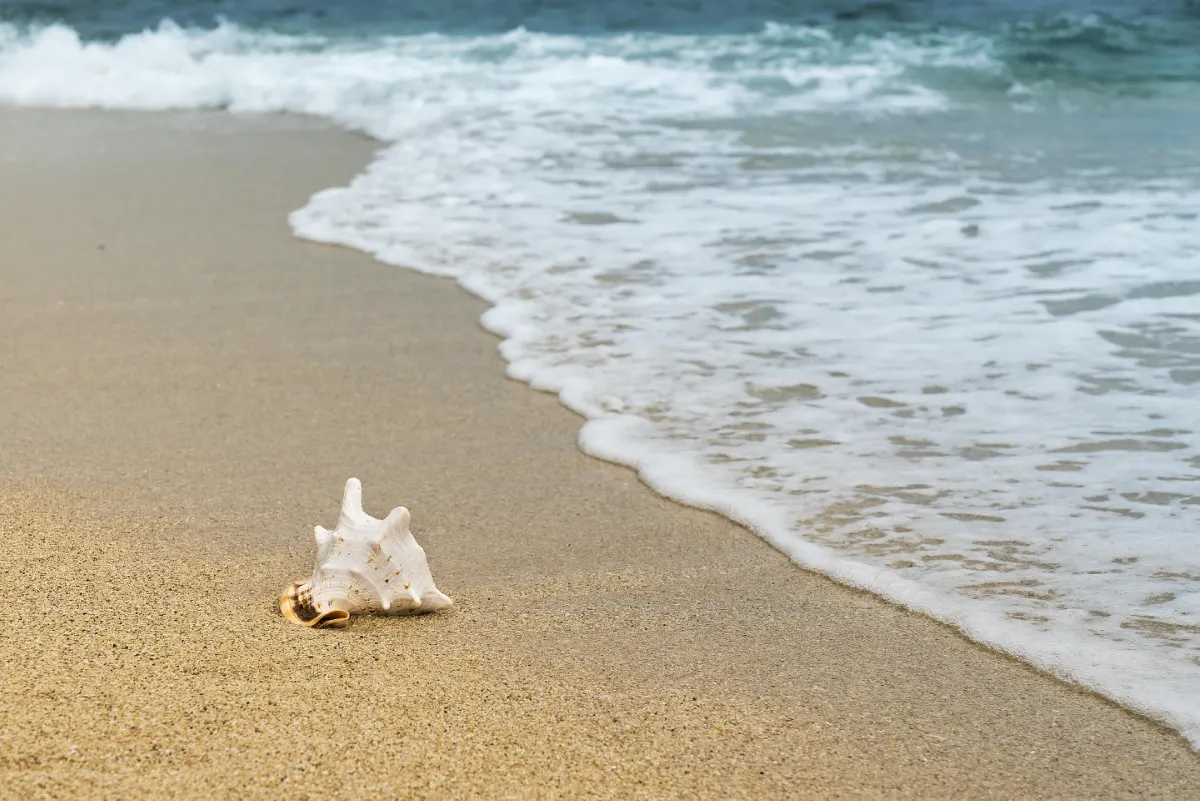 vacker strand i Spanien